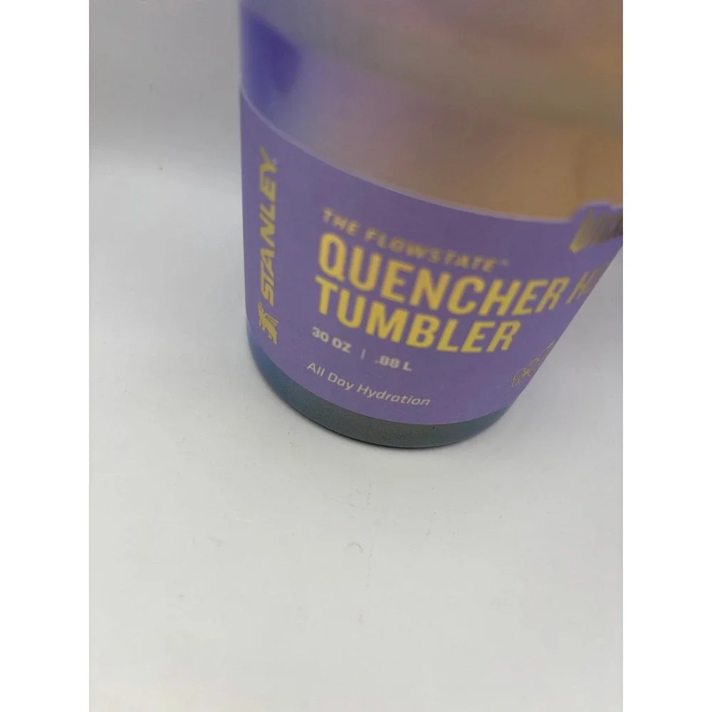 Stanley x Wicked Quencher H2.0 Tumbler Lot 40oz 30oz Elphaba Glinda Straws
